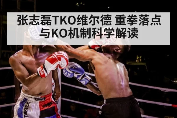 boxing punch impact